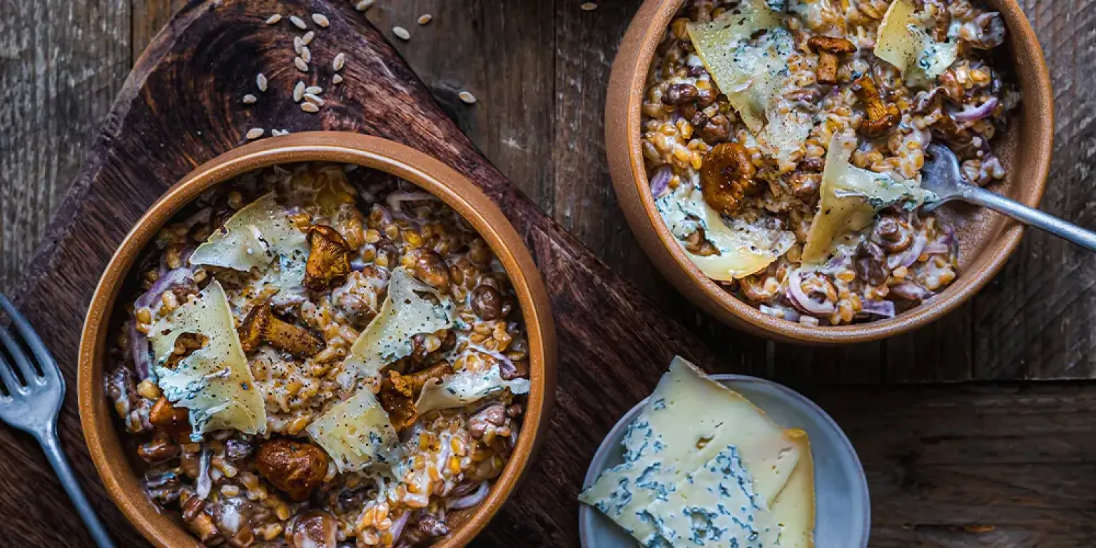 Risotto de Petit Épeautre du Velay à la fourme et aux girolles