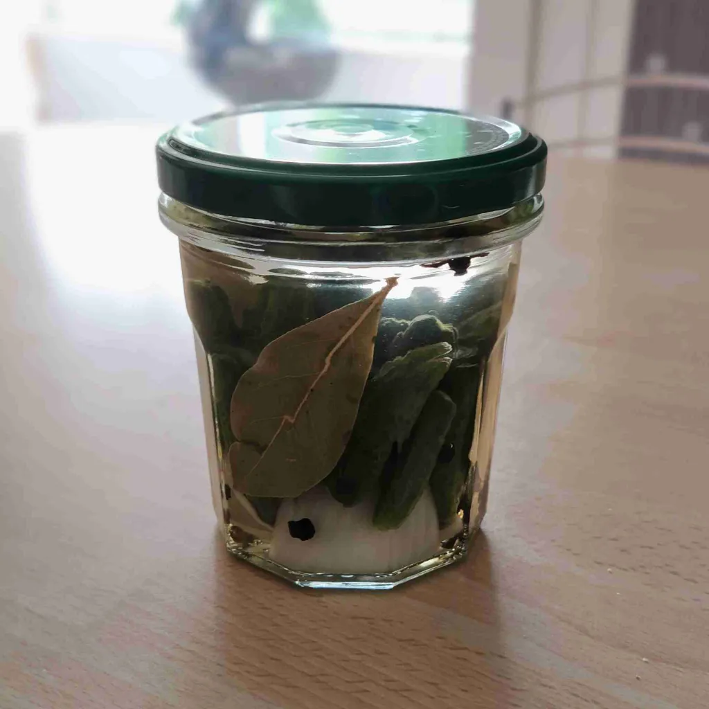Cornichons au vinaigre